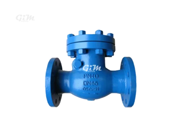 cast-steel-swing-check-valve