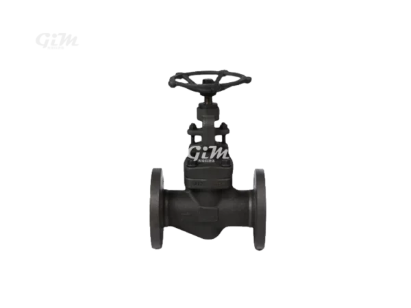 forged-steel-ansi-globe-valve